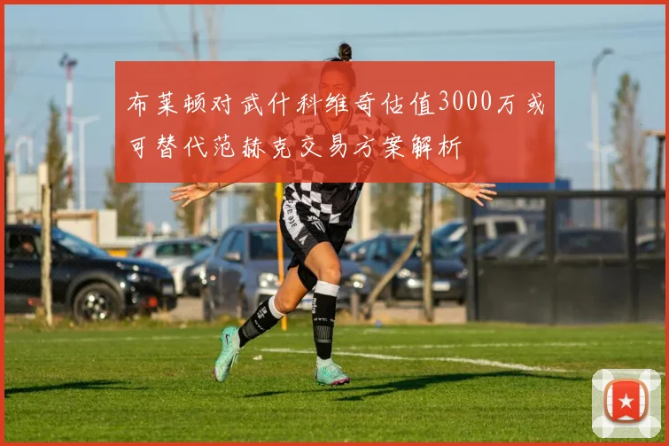布莱顿对武什科维奇估值3000万或可替代范赫克交易方案解析