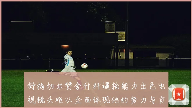 舒梅切尔赞舍什科逼抢能力出色电视镜头难以全面体现他的努力与贡献
